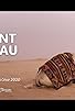 Primary photo for L'enfant chameau Primary photo for L'enfant chameau