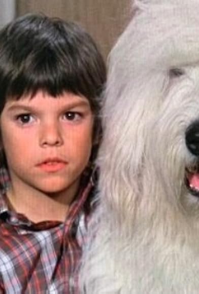 Primary photo for The Shaggy D.A. Primary photo for The Shaggy D.A.