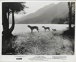 पोस्टर देखें