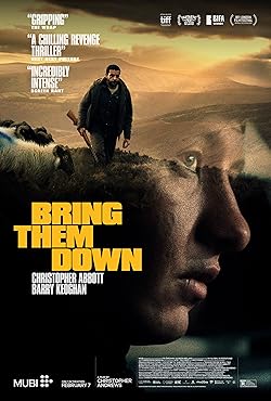 Poster of Bring Them Down