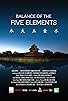 Primary photo for Balance of the Five Elements Primary photo for Balance of the Five Elements