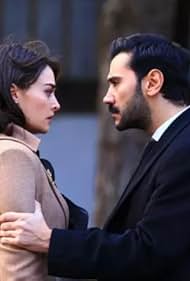 Qiziqarli mushuk videolar