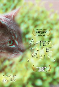 Primary photo for After the Rain