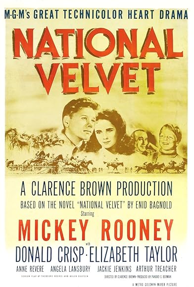 Primary photo for National Velvet Primary photo for National Velvet