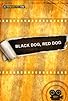 Primary photo for Black Dog, Red Dog Primary photo for Black Dog, Red Dog