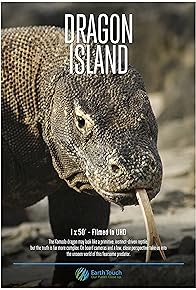 Primary photo for Dragon Island