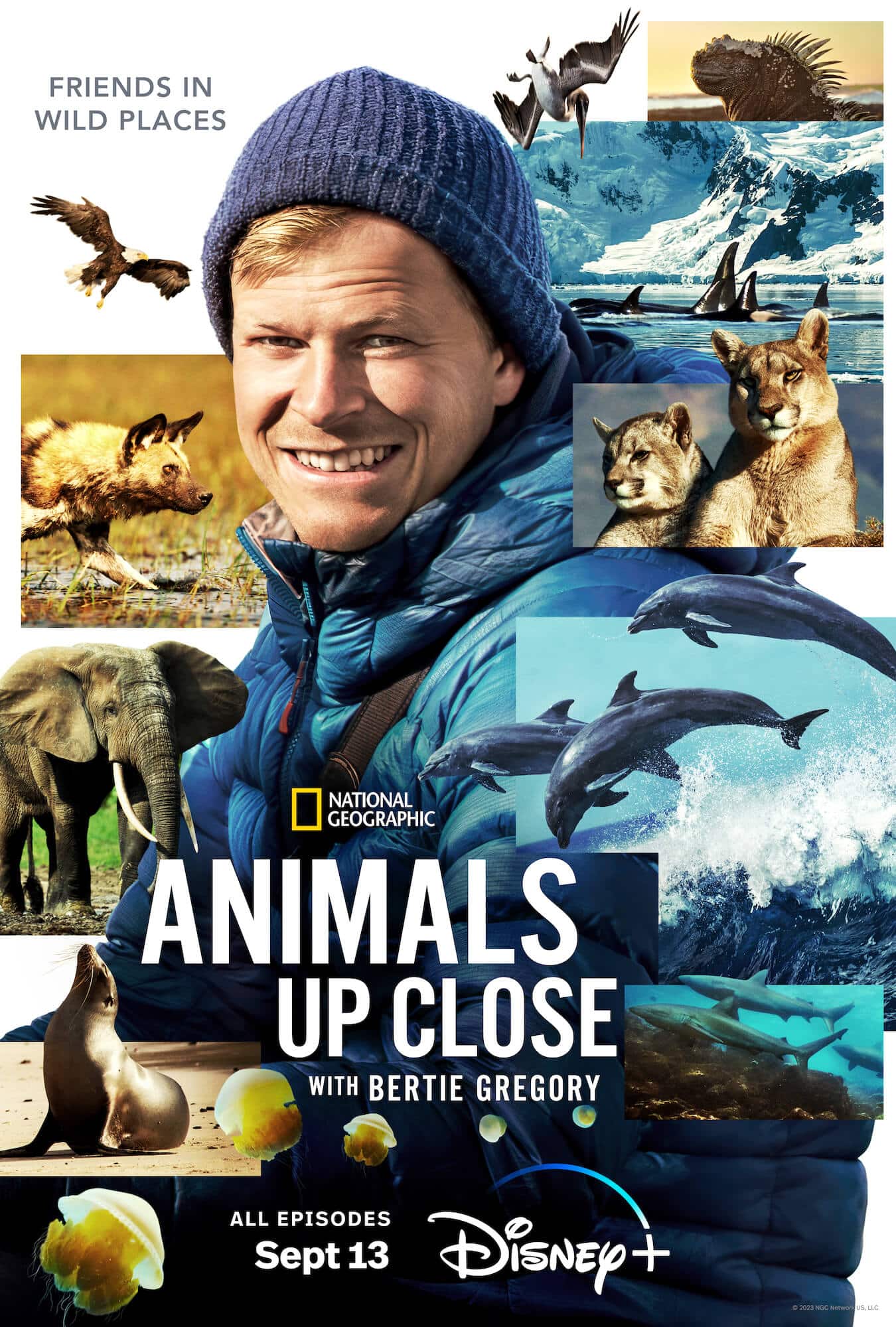Poster of Animals Up Close With Bertie Gregory