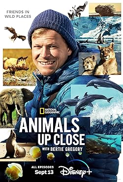 Poster of Animals Up Close With Bertie Gregory