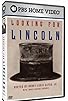 Primary photo for Looking for Lincoln Primary photo for Looking for Lincoln