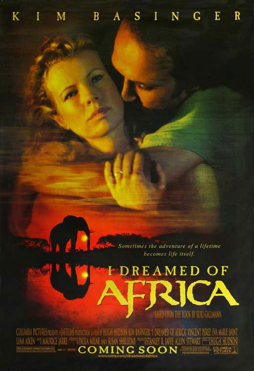 Poster of I Dreamed of Africa