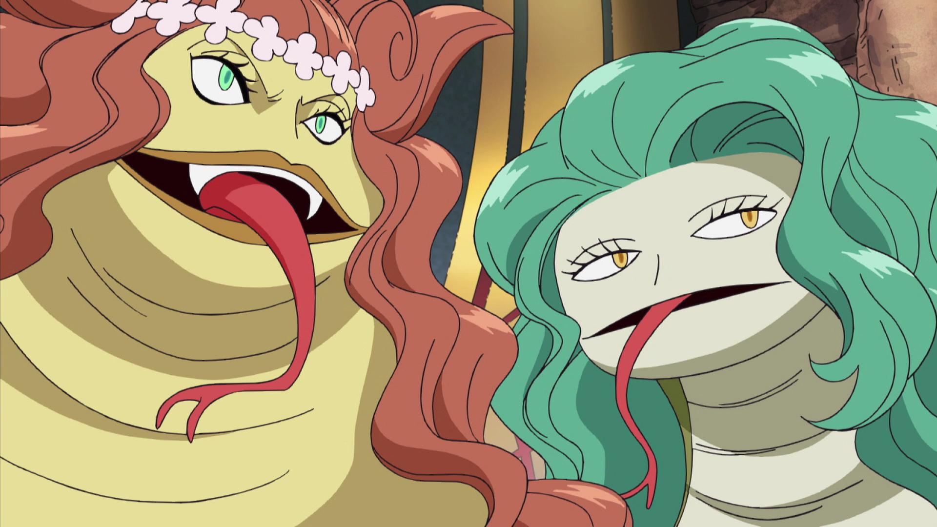 Luffy Daikusen! Hebi Shimai no Haki no Chikara!! (2009)