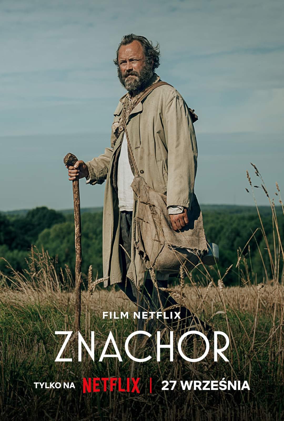 Poster of Znachor