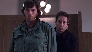 पोस्टर देखें