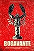 Primary photo for Bogavante