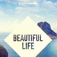 Primary photo for Lost Frequencies Feat. Sandro Cavazza: Beautiful Life