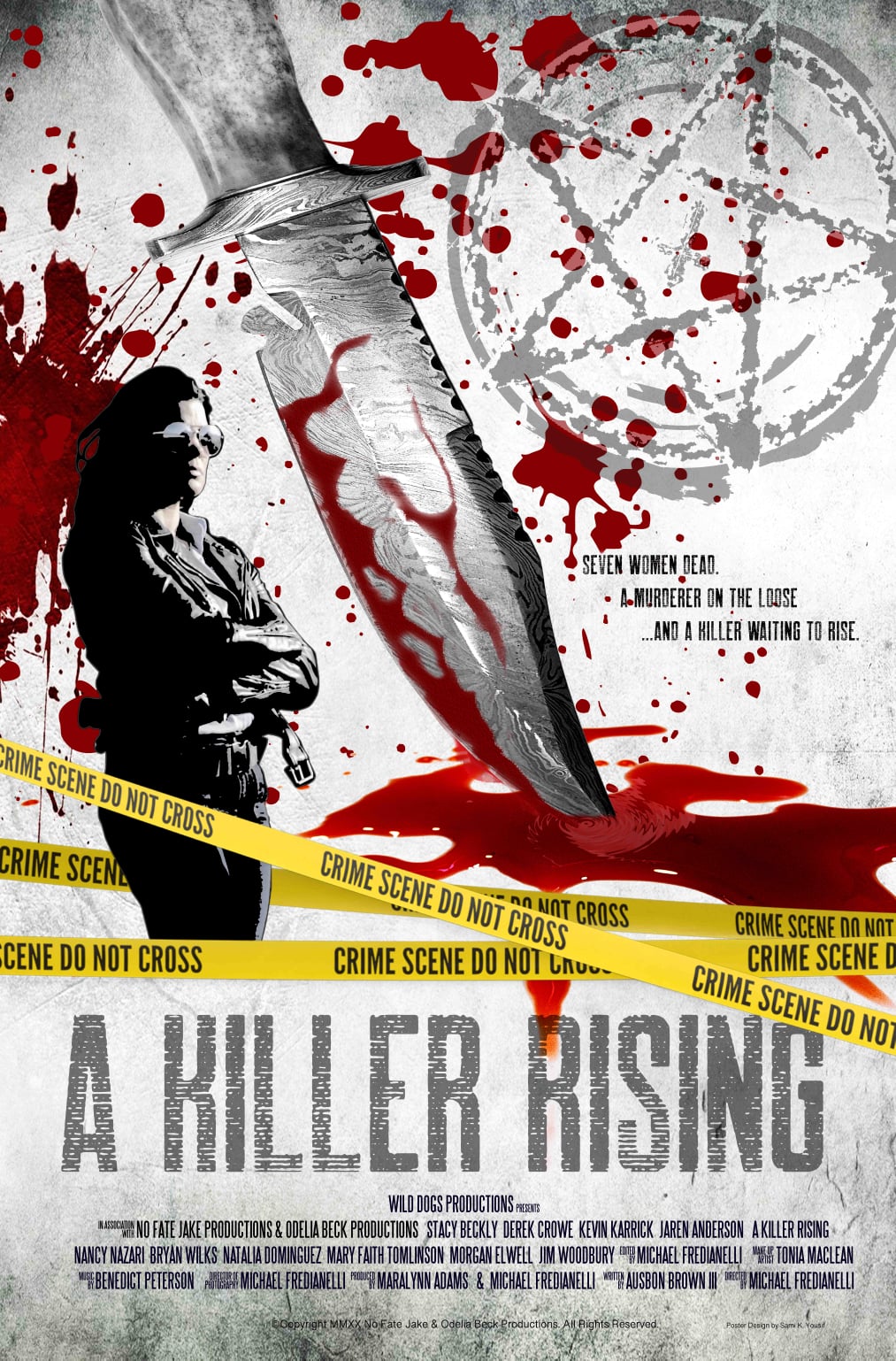 Poster of A Killer Rising