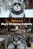 Primary photo for Sainsbury's: Mog's Christmas Calamity Primary photo for Sainsbury's: Mog's Christmas Calamity