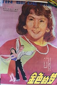 Primary photo for Jin Se De Meng