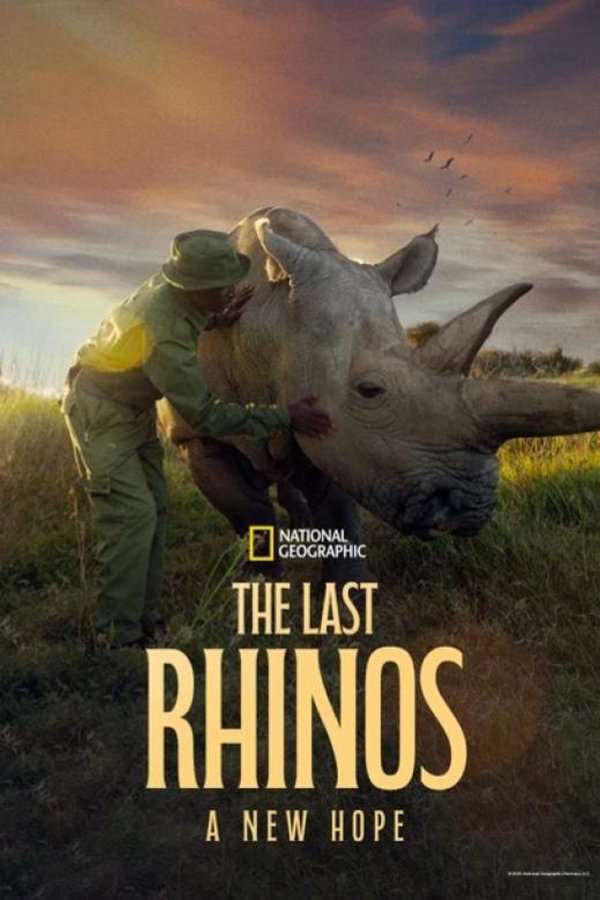 Poster of The Last Rhinos: A New Hope