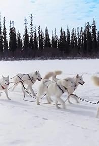 Primary photo for There's Two Joes'