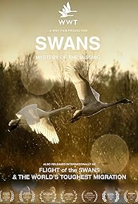 Primary photo for Swans: Mystery of the Missing