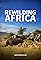 Rewilding Africa's primary photo