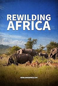 Primary photo for Rewilding Africa