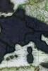 Primary photo for The Mystery of the Black Death