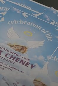 Primary photo for Hermit