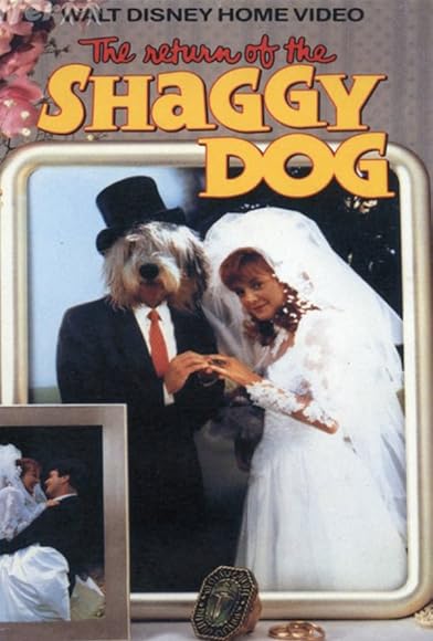 Primary photo for The Return of the Shaggy Dog Primary photo for The Return of the Shaggy Dog