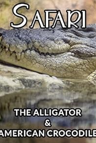 Primary photo for The Alligator & American Crocodile