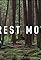 Forest Movie's primary photo