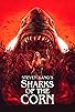Primary photo for Sharks of the Corn Primary photo for Sharks of the Corn