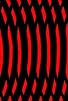 Primary photo for What Is The Speed of Dark? Primary photo for What Is The Speed of Dark?