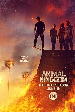 Poster of Animal Kingdom