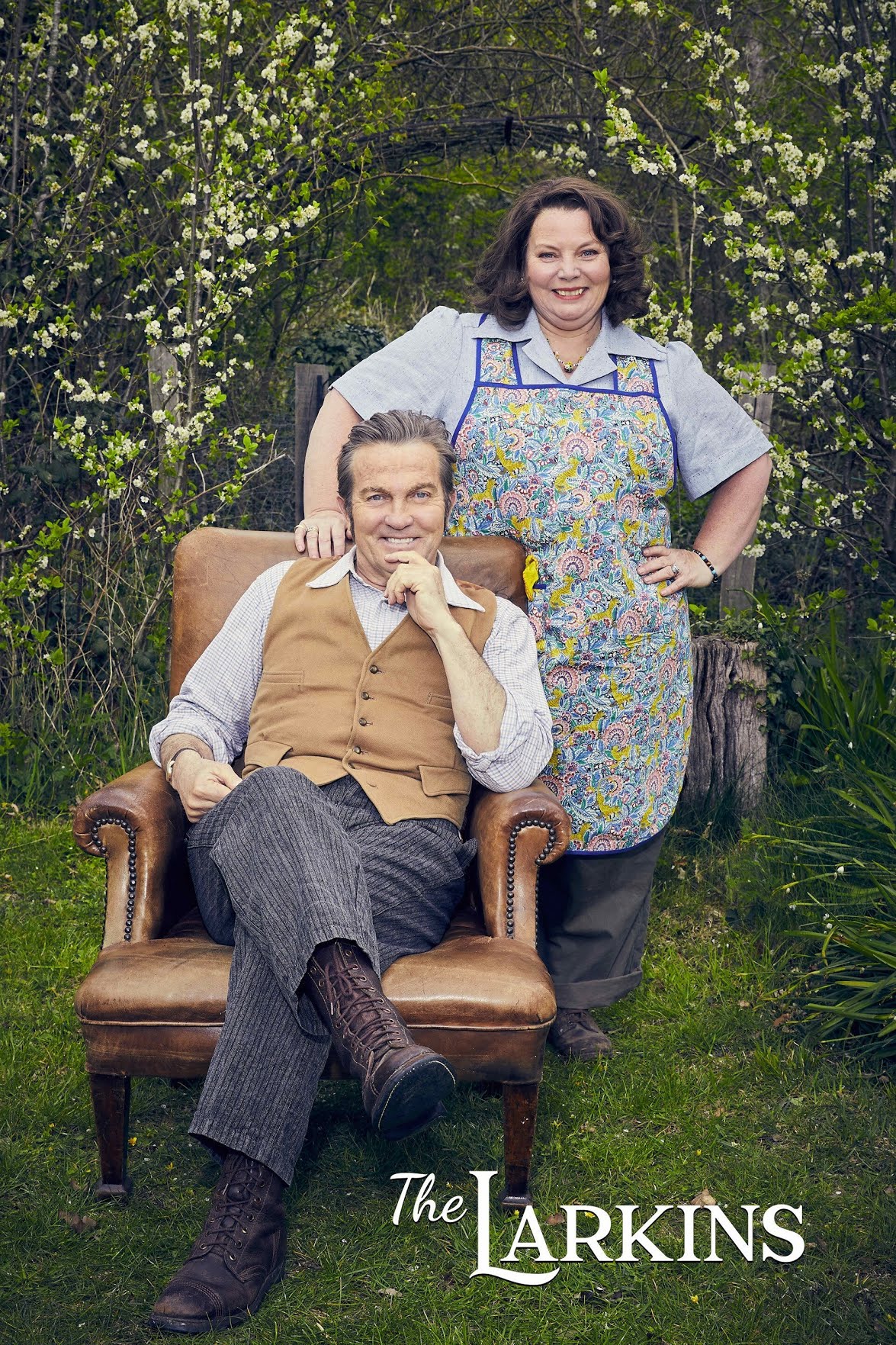 Poster of The Larkins