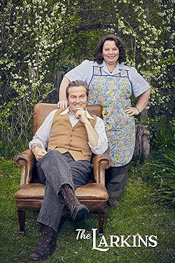 Poster of The Larkins