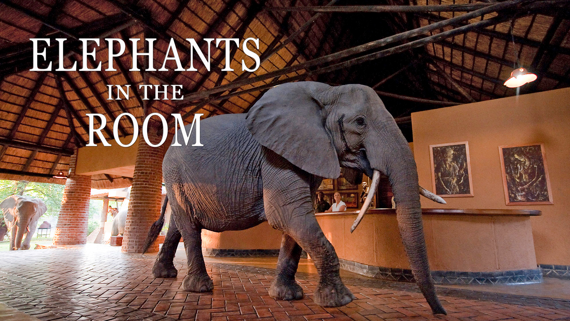 Elephants in the Room (TV Movie 2013) - IMDb