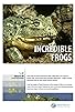 Primary photo for Incredible Frogs Primary photo for Incredible Frogs