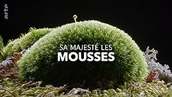 Poster of Sa Majesté les mousses
