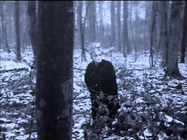 A Forest of Collective Subconscious