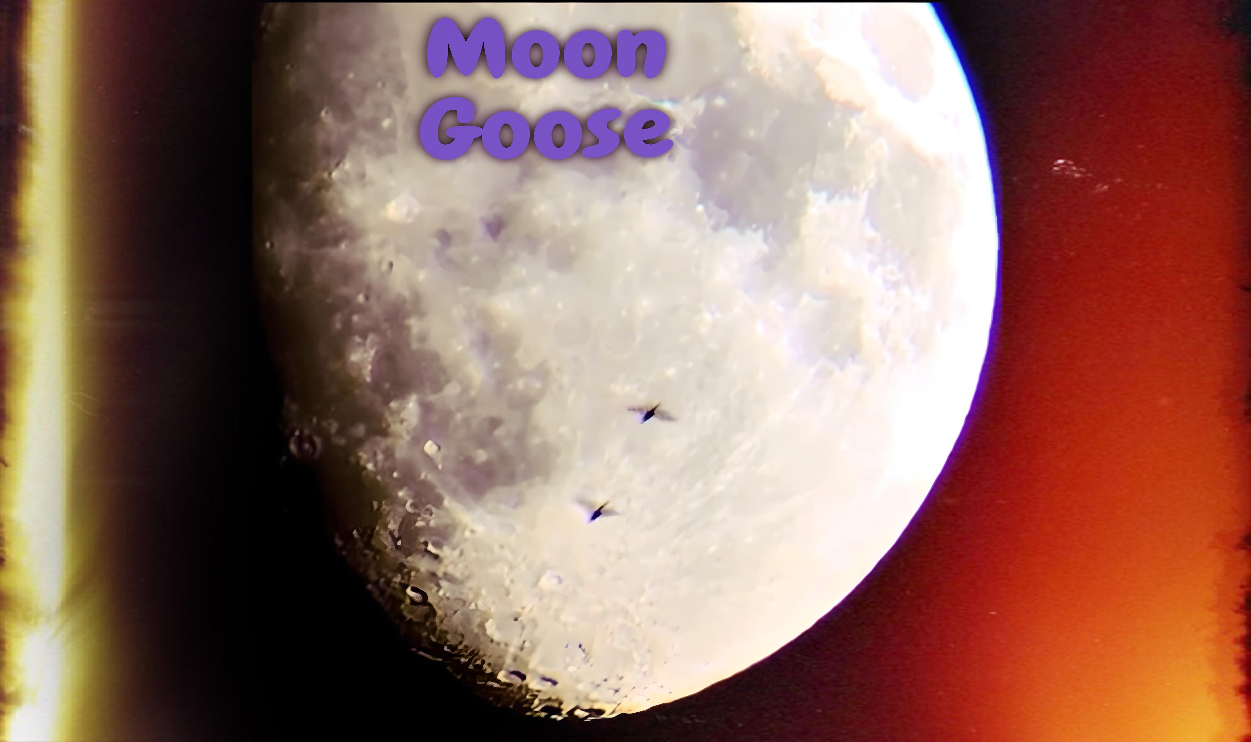 Moon Goose