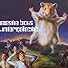 Primary photo for Beastie Boys: Intergalactic Primary photo for Beastie Boys: Intergalactic