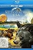 Primary photo for World Natural Heritage USA: Yellowstone National Park