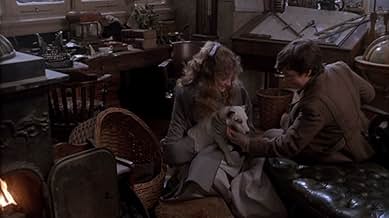 पोस्टर देखें