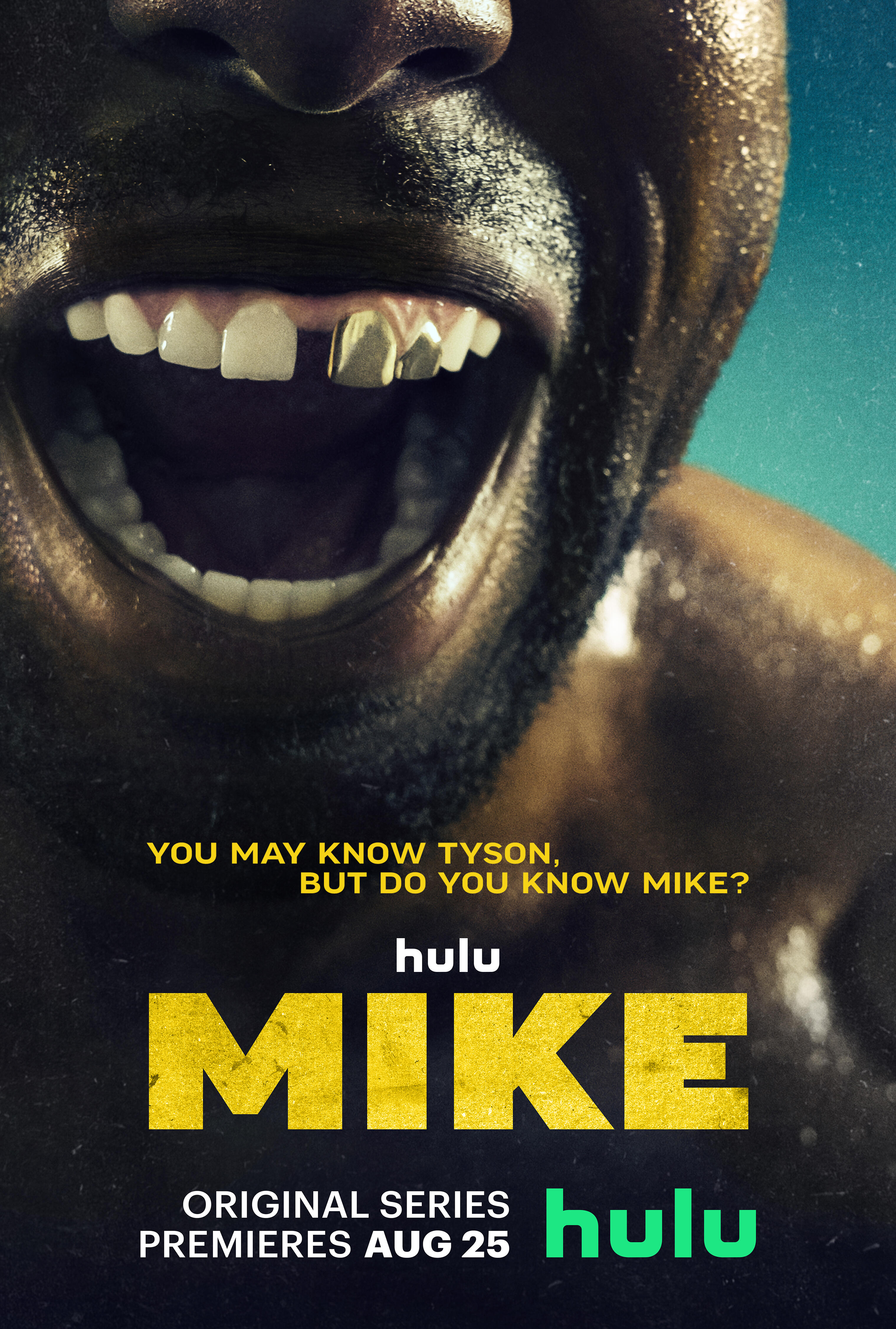 Poster of Mike