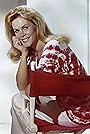 Elizabeth Montgomery's primary photo Elizabeth Montgomery's primary photo