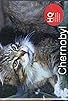 Primary photo for Chernobyl Reclaimed: An Animal Takeover Primary photo for Chernobyl Reclaimed: An Animal Takeover