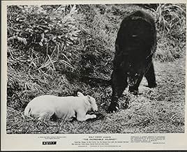 पोस्टर देखें