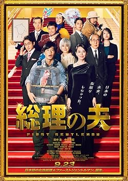 Poster of The first Gentleman